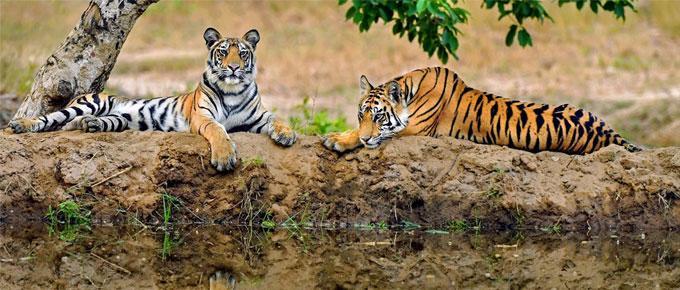 VDTR Photography Tour